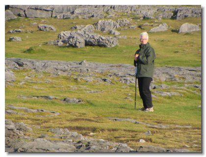 d) Cliffs and Burren (3)